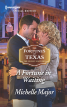 book cover for A Fortune in Waiting