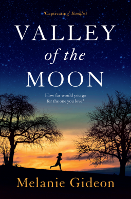 book cover for Valley of the Moon