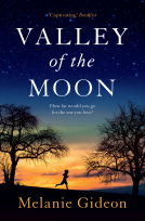 book cover for Valley of the Moon