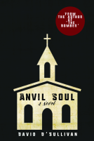 book cover for Anvil Soul