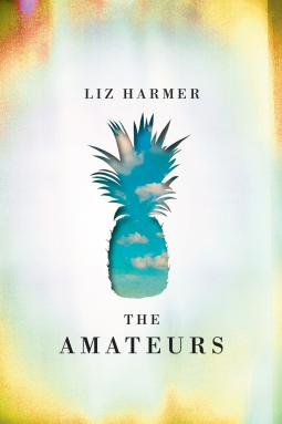 book cover for The Amateurs