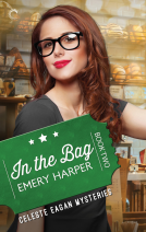 book cover for In the Bag