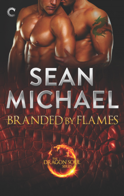 book cover for Branded by Flames