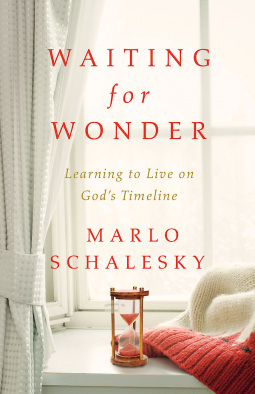 book cover for Waiting for Wonder