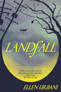 book cover for Landfall