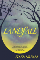 book cover for Landfall