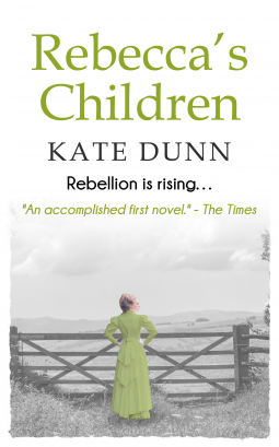 book cover for Rebecca's Children