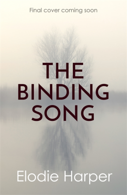book cover for The Binding Song
