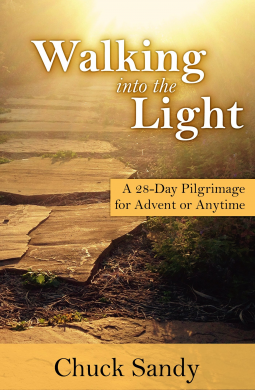 book cover for Walking into the Light