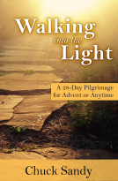 book cover for Walking into the Light