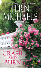 book cover for Crash and Burn