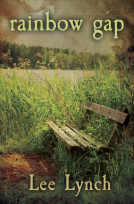 book cover for Rainbow Gap