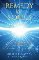 book cover for The Remedy of Souls