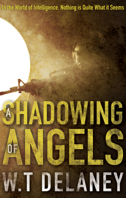 book cover for A Shadowing of Angels