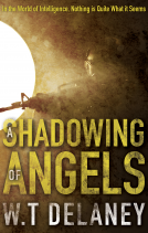 book cover for A Shadowing of Angels