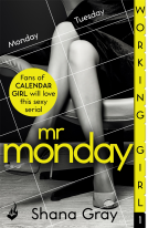 book cover for Mr Monday: