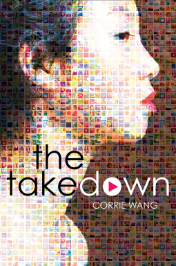 book cover for The Takedown