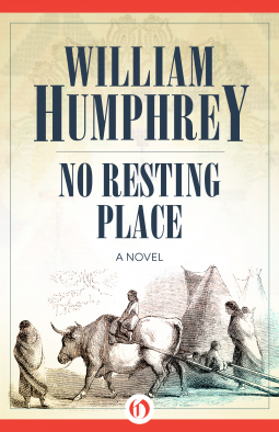 book cover for No Resting Place