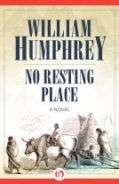 book cover for No Resting Place