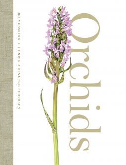 book cover for Orchids