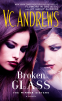 Cover Image: Broken Glass