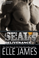 book cover for SEAL's Deliverance