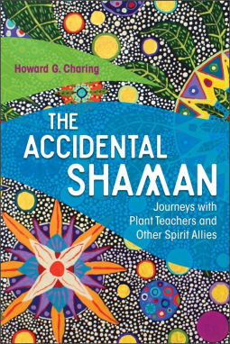 book cover for The Accidental Shaman