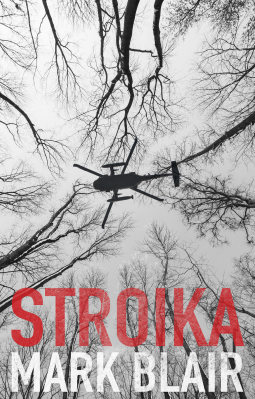 book cover for Stroika