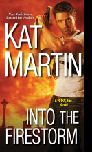 book cover for Into the Firestorm