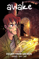 book cover for Awake: