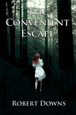 book cover for The Convenient Escape