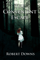 book cover for The Convenient Escape
