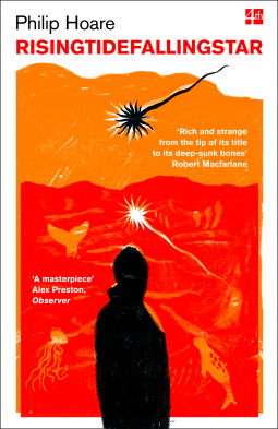 book cover for RISINGTIDEFALLINGSTAR