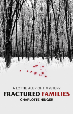 book cover for Fractured Families