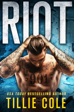 book cover for Riot
