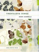 book cover for Tremulous Hinge