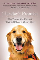 book cover for Tuesday's Promise