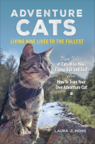 book cover for Adventure Cats