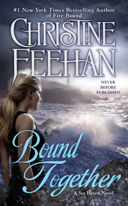 book cover for Bound Together