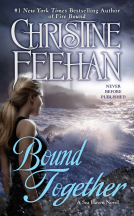 book cover for Bound Together