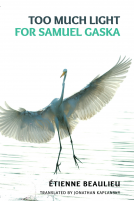 book cover for Too Much Light for Samuel Gaska