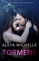 book cover for Torment