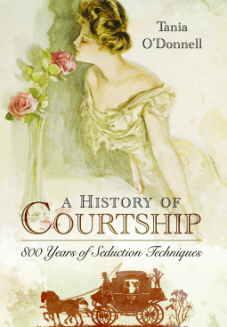 book cover for A History of Courtship