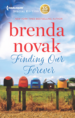 book cover for Finding Our Forever