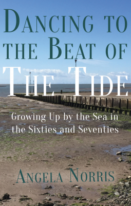 book cover for Dancing to the Beat of the Tide
