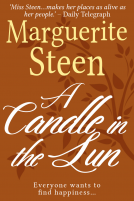 book cover for A Candle in the Sun