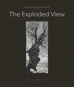 book cover for The Exploded View