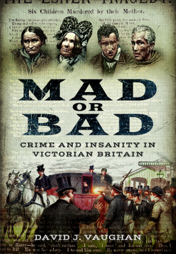 book cover for Mad or Bad