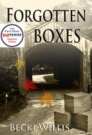 book cover for Forgotten Boxes
