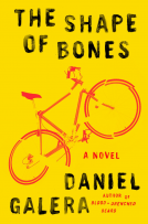 book cover for The Shape of Bones